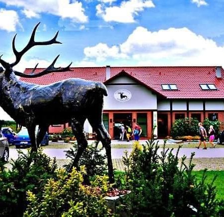 Pensjonat I Restauracja Hubertowka Milicz Esterno foto