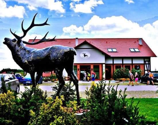 Pensjonat I Restauracja Hubertowka Milicz Esterno foto